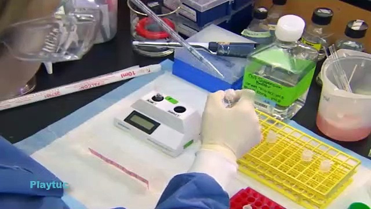 |La|Proxima|Pandemia|