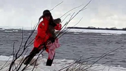 Baby Seal Rescued from Frigid Ice Trap