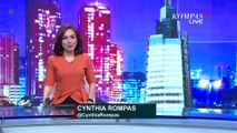 Bisa Meningkatkan Imunitas Tubuh, Ini Dia Khasiat dan Cara Budidaya Daun Kelor!