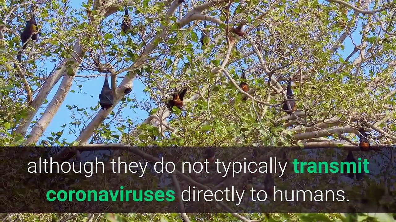 novel-coronavirus-your-questions-answere