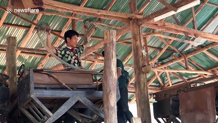 Dozens of elephants 'set free' as chairs used to carry tourists are scrapped in wake of COVID-19 downturn
