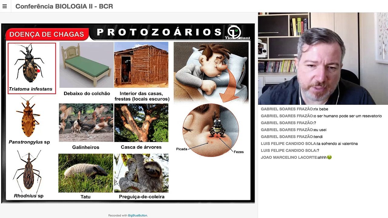 Protozooses