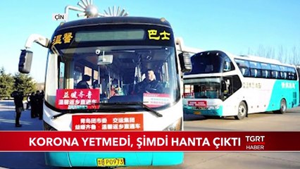 Koronavirüs Yetmedi Şimdi Hantavirüs Çıktı