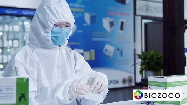 How Biozooo Sars-Cov-2 Covid 19 Antibody Test Kit works