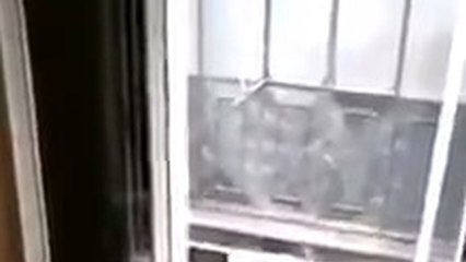 Los vecinos celebran el cumpleaños de Charo