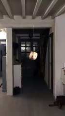 CONFINEMENT dans l'humour - Tourner autour du pâté de maison