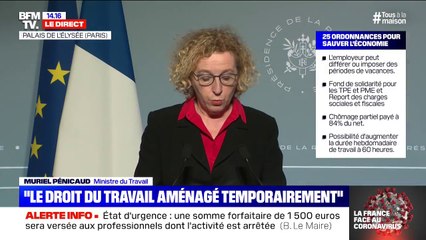 Muriel Pénicaud (ministre du Travail): "Nous ouvrirons le bénéfice du chômage partiel aux assistantes maternelles, aux employés à domicile, aux salariés au forfait jour et aux VRP"