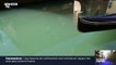 L'eau des canaux de Venise retrouve sa clarté en raison du confinement et de l'absence de touristes