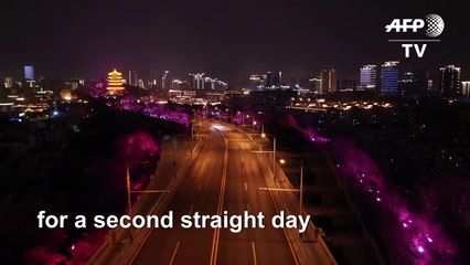 China reports one new domestic coronavirus infection