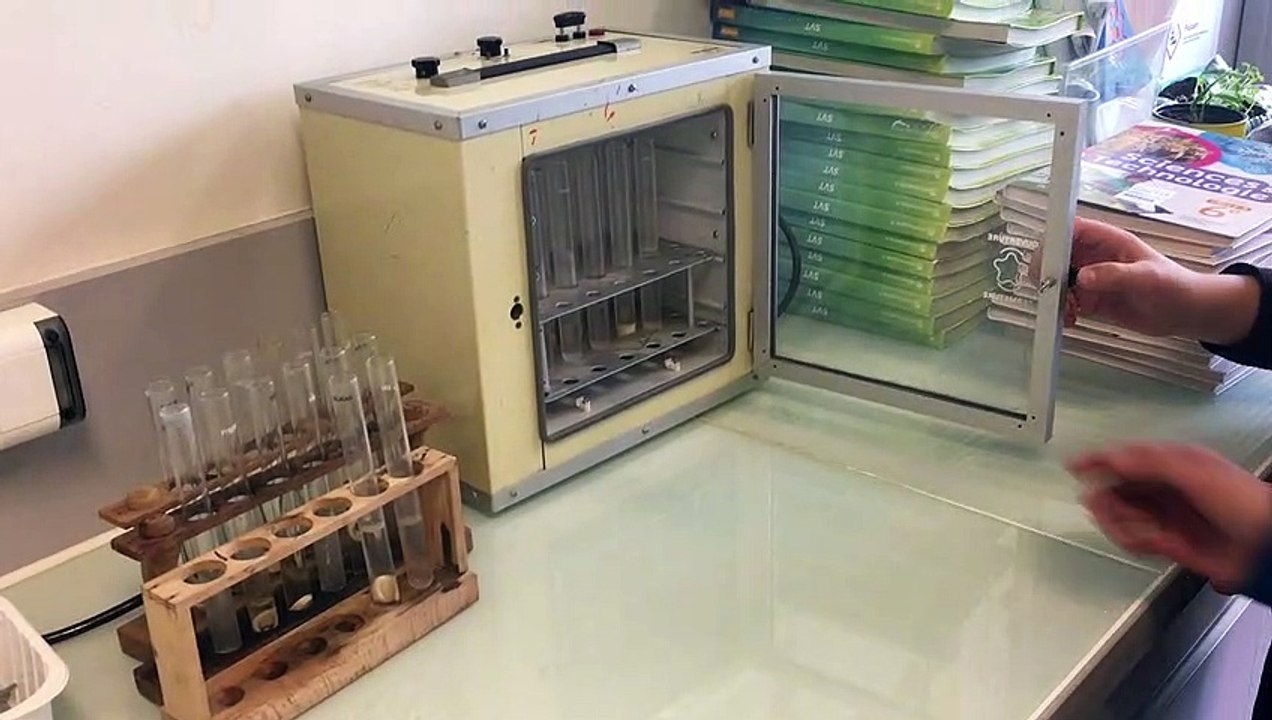 svt résultats protocole digestion