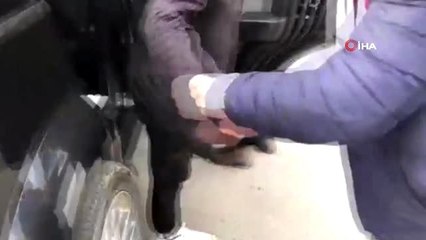 Diyarbakır'da tarihi eser kaçakçılarına darbe