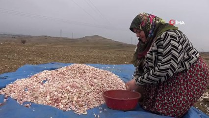 Prof. Dr. Nilay Çöplü: “Vücut direnci için sarımsak ve soğan tüketin”