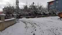 Adana'nın yüksek kesimlerinde kar yağışı etkili oldu