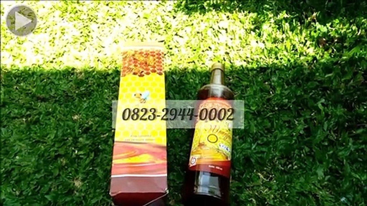 Recommended!!! +62 823-2944-0002 | Jual Madu Asli Area Jember