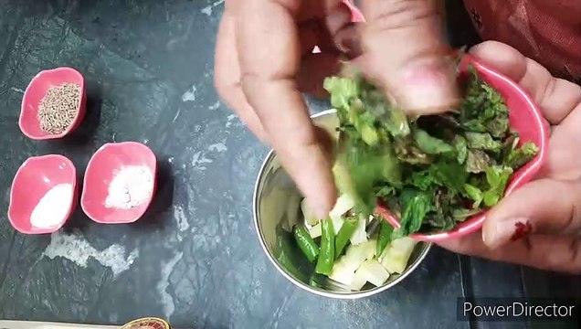कैरी पुदीना की खट्टी मीठी चटनी | Green Mango Mint chutney recipe | Chutney recipe | mango chutney |