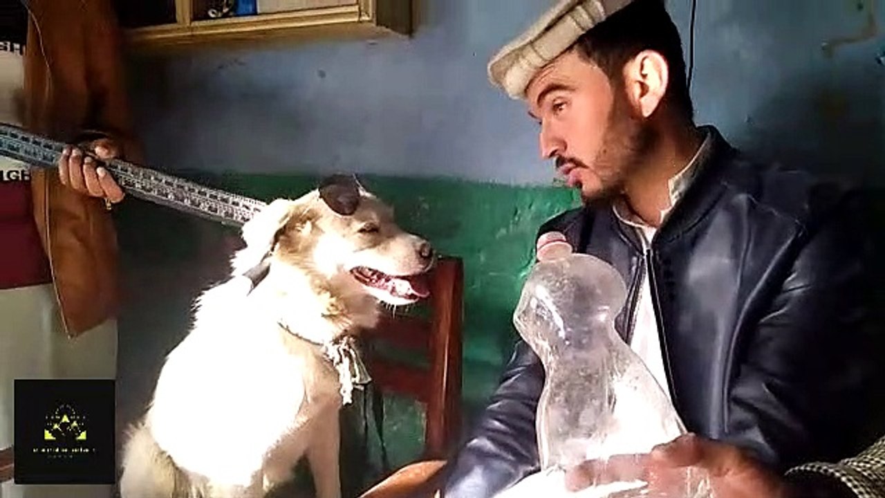 Funny man and dog