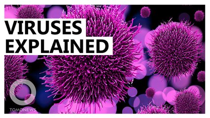 What Is a Virus? Simple Explanation of How They Work 🦠