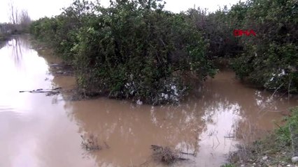 ADANA Kozan'da sağanak; bahçeler ve tarlalar su altında