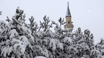 Kar yağışı etkisini sürdürüyor - KARS