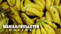 DOH: Bananas can’t protect against coronavirus
