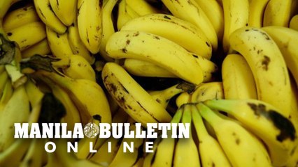 DOH: Bananas can’t protect against coronavirus