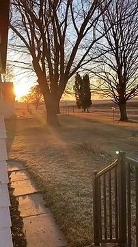 Un bus d'écoliers souhaite un joyeux anniversaire à une vieille dame
