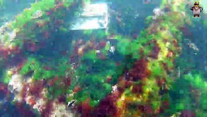 Denizde Dedektörle Tektekcilik Yaptım.define.gold search on the beach.metal detected.gold signal