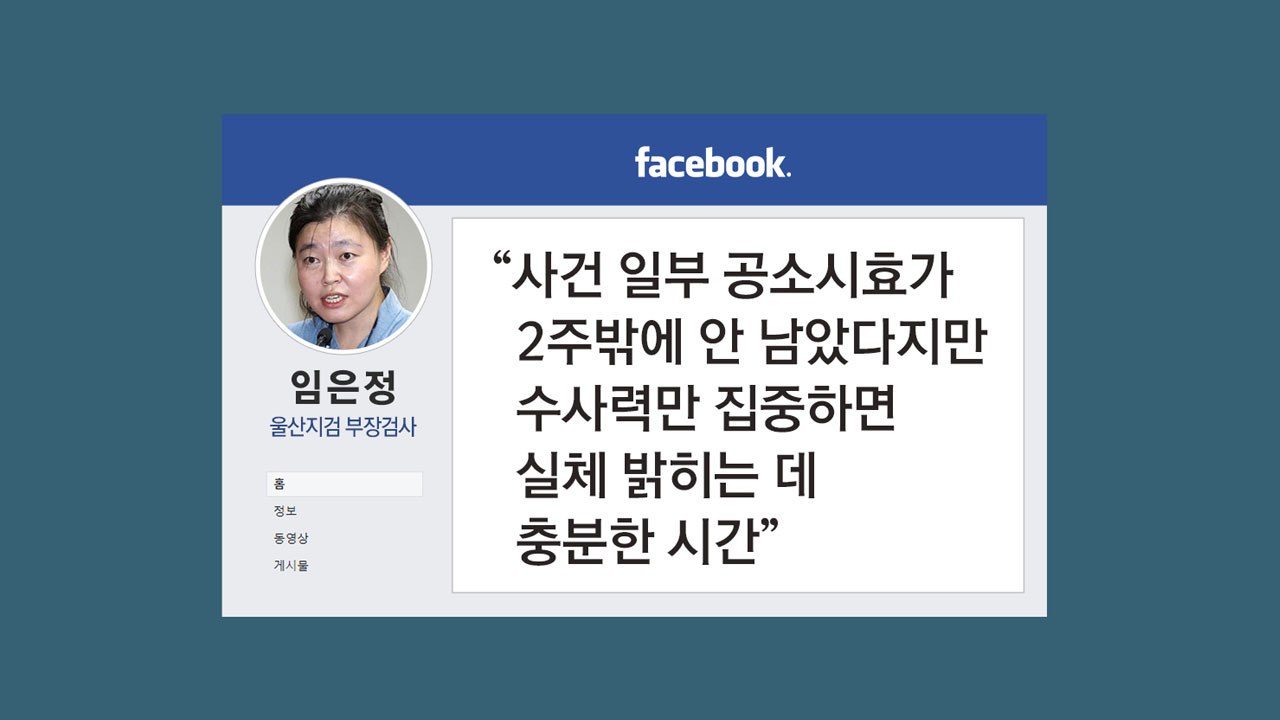 [뉴있저] 임은정 검사 "윤석열 총장 장모 수사, 2주면 충분" / YTN