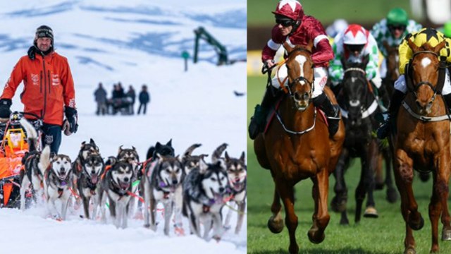 These sports are not giving up despite Coronavirus pandemic.