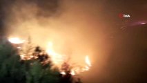 Manavgat'ta orman yangını...2 dönüm orman ve 1 dönümlük tarla yandı