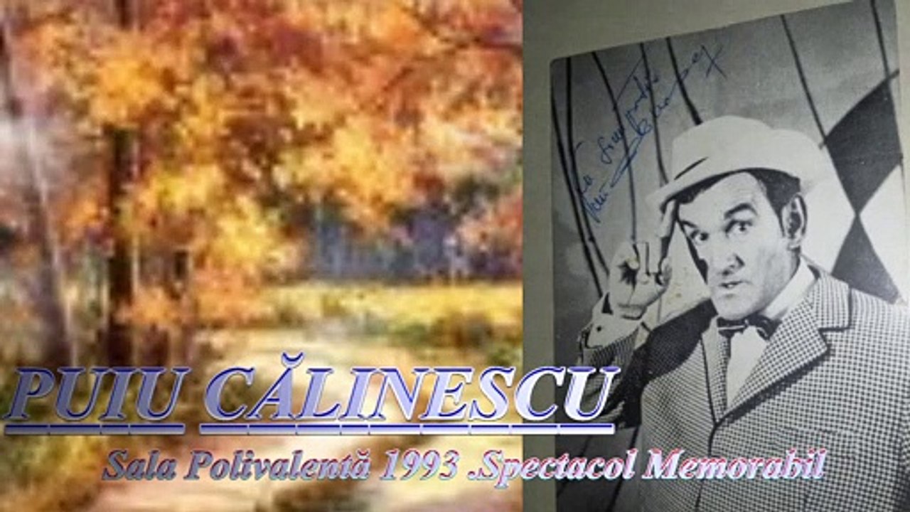 PUIU CALINESCU - SPECTACOL MEMORABIL SALA POLIVALENTA 1993 , Audio Track