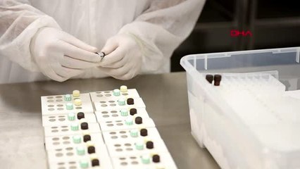 İTALYA PARLAMENTOSU'NA TÜRK KİTİ