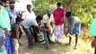 Villagers capture crocodile that entered this village in southern India