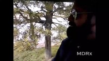 SAFARI EN MUNDO MARINO (2017)