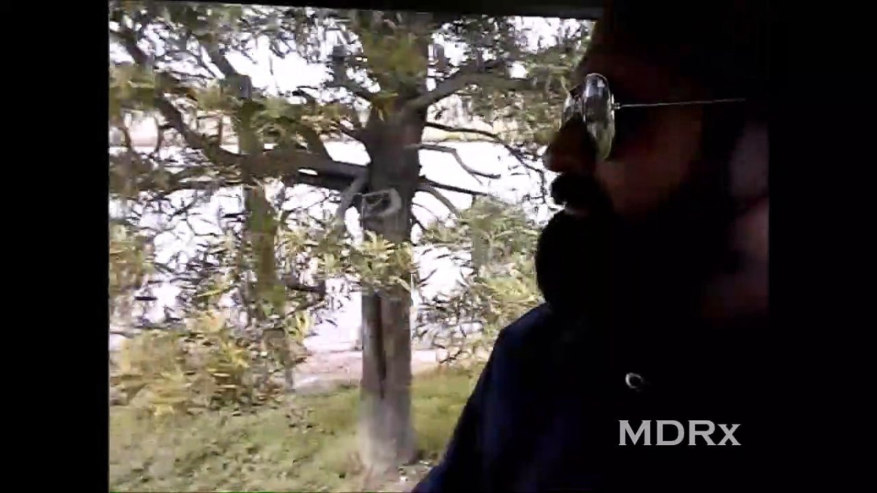 SAFARI EN MUNDO MARINO (2017)