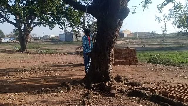 मंदसौर: युवक का पेड़ से लटका मिला शव
