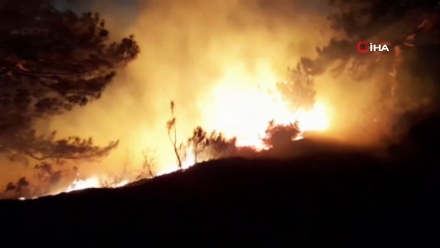 Manavgat’ta Orman Yangını... 2 Dönüm Orman ve 1 Dönümlük Tarla Yandı