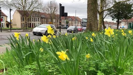 GOODLINES: 19th March 2020