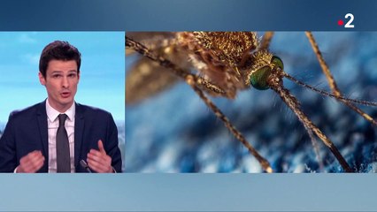 Coronavirus : la rédaction du 13 Heures répond aux questions des Français