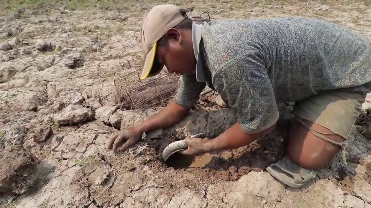 Dry Season Find Fish in Underground Secret Hole 2020 || Fish Underground Hole 2020 ||मछलियां जमिन के निचे कैसेंं रह सक्ति हें