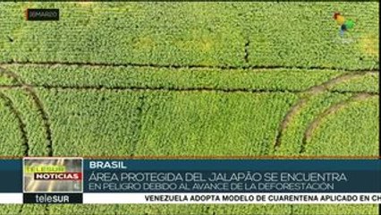 Brasil:área protegida del Parque Jalapao, en riesgo por el agronegocio