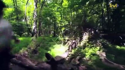 True Terror With Robert Englund Trailer 2020