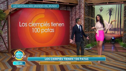 ¿El ciempiés no tiene cien patas? ¡Sergio nos cuenta toda la verdad!  | Venga La Alegría