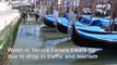 Venice canals clearer due to lack of tourists and traffic