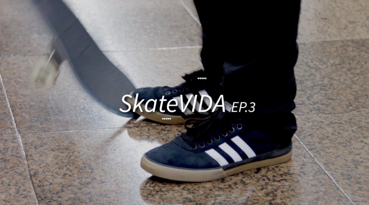 World View: Skatevida 3