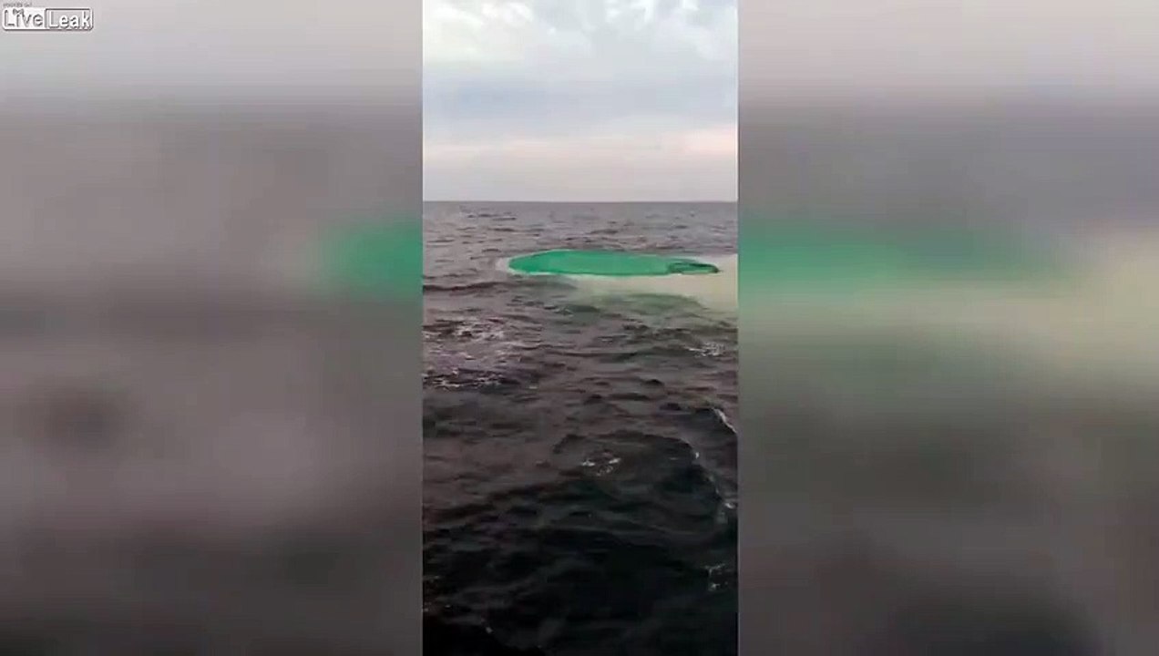 100 tonnes de poissons d'un coup, ce bateau de pêche ne peut remonter le filet !