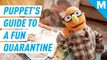 A puppet's guide to keeping yourself entertained during a quarantine