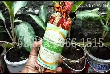 TERMURAH!!! +62 813-2666-1515 | Beli Souvenir Wisuda Anak Tk di Bandung