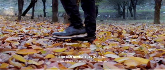 Onur Can Sevim - Âşekâ