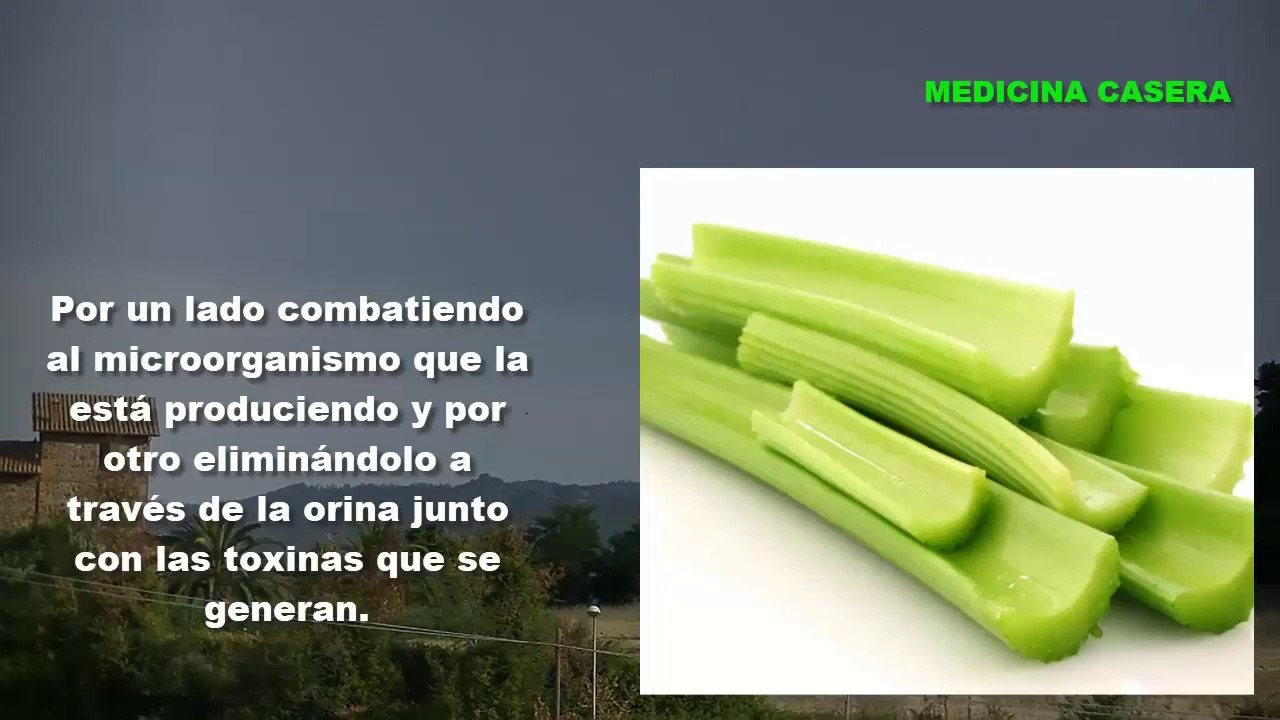 ⭐ BAJAR De PESO en un MES Con el APIO